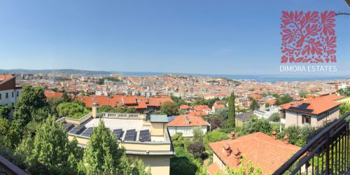 vista panoramica
